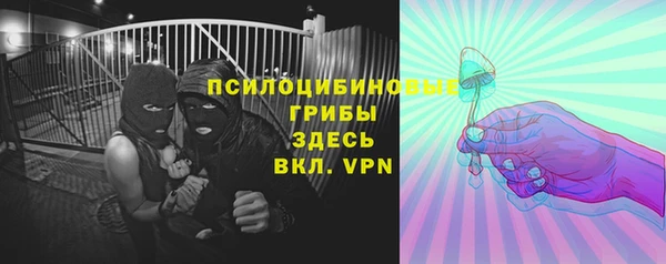 хмурый Гусь-Хрустальный