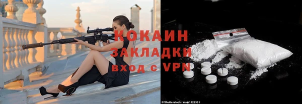 шишки Дмитровск
