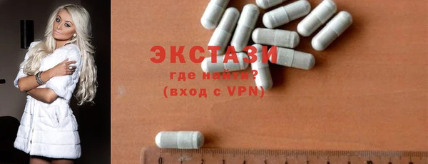 амф Гусев