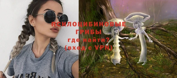 шишки Дмитровск
