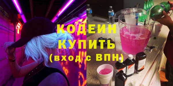 амф Гусев