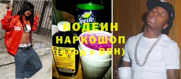хмурый Гусь-Хрустальный