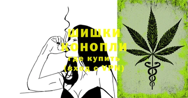 шишки Дмитровск