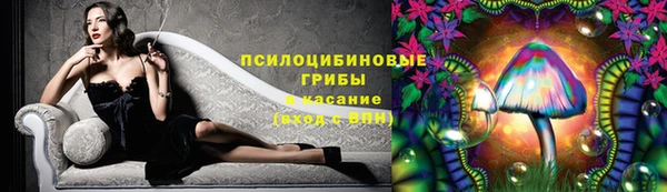 амф Куртамыш